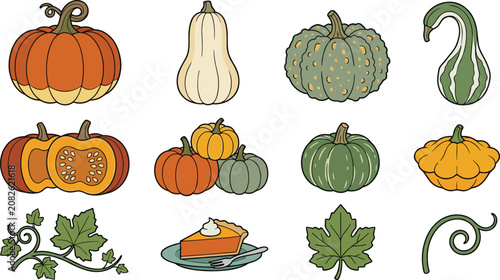 Fotografie pumpkin, gourd, squash, butternut, autumn, harvest, vegetable, fall, halloween,