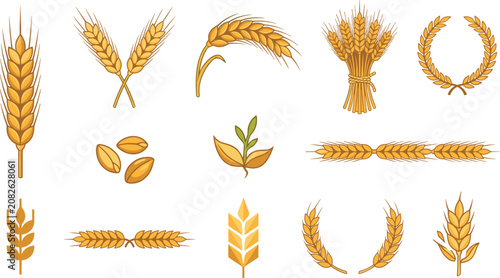 Fotografi Wheat ear collection featuring golden cereal spikes grain harvest agriculture an