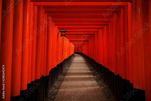 Red torii gates path in a traditional shrine