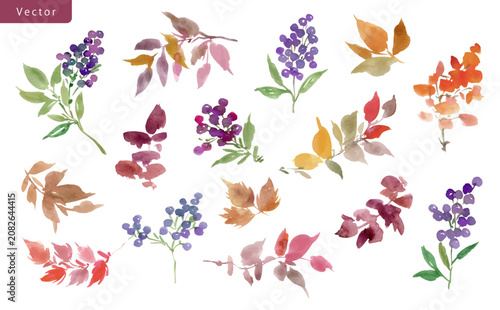 Hand painted Watercolor Autumn leaves and berries clipart set for banner, invitation and background.