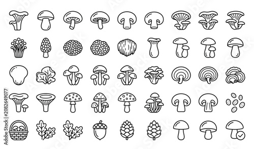 Schilderij op canvas Forest Mushroom Line Icon Set