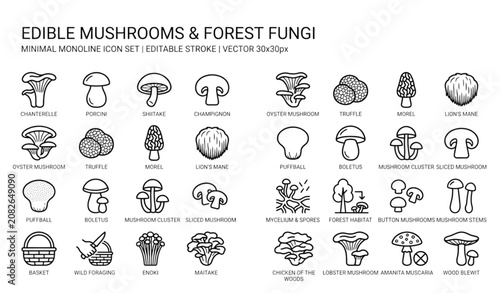Fotografia Modern Forest Mushroom Monoline Icon Pack