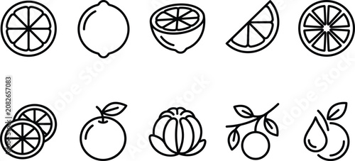 Foto Citrus fruit assortment in clean line art style with slices and whole fruits iso
