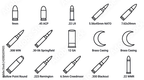 Tableau sur toile Diagram of various ammunition calibers and bullet types.