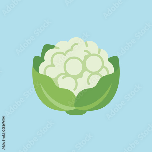 A simple flat vector illustration of a fresh white cauliflower head