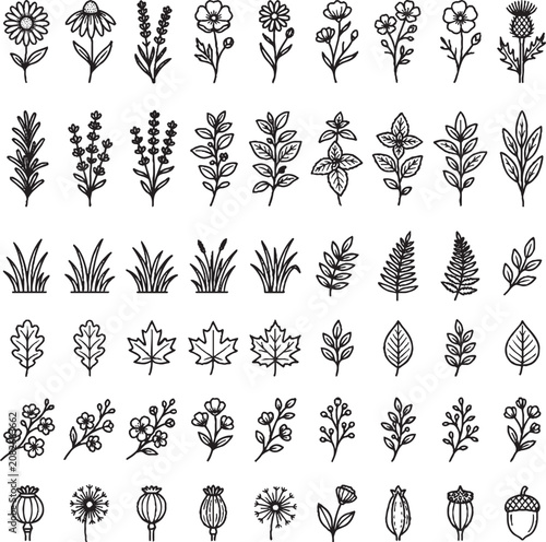Collection of Wildflower and Plant Line Art Illustrations in Black and White Outline Style,Generative Ai