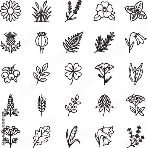 Collection of Hand Drawn Wildflower and Plant Line Art Illustrations in Black and White,Generative Ai