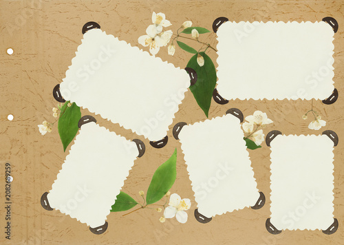Photo album layout with empty photo frames. Page for stories. Scrapbook composition with floral elements. Page from an old photo album. Dried pressed jasmine flowers. For invitations und greetings.