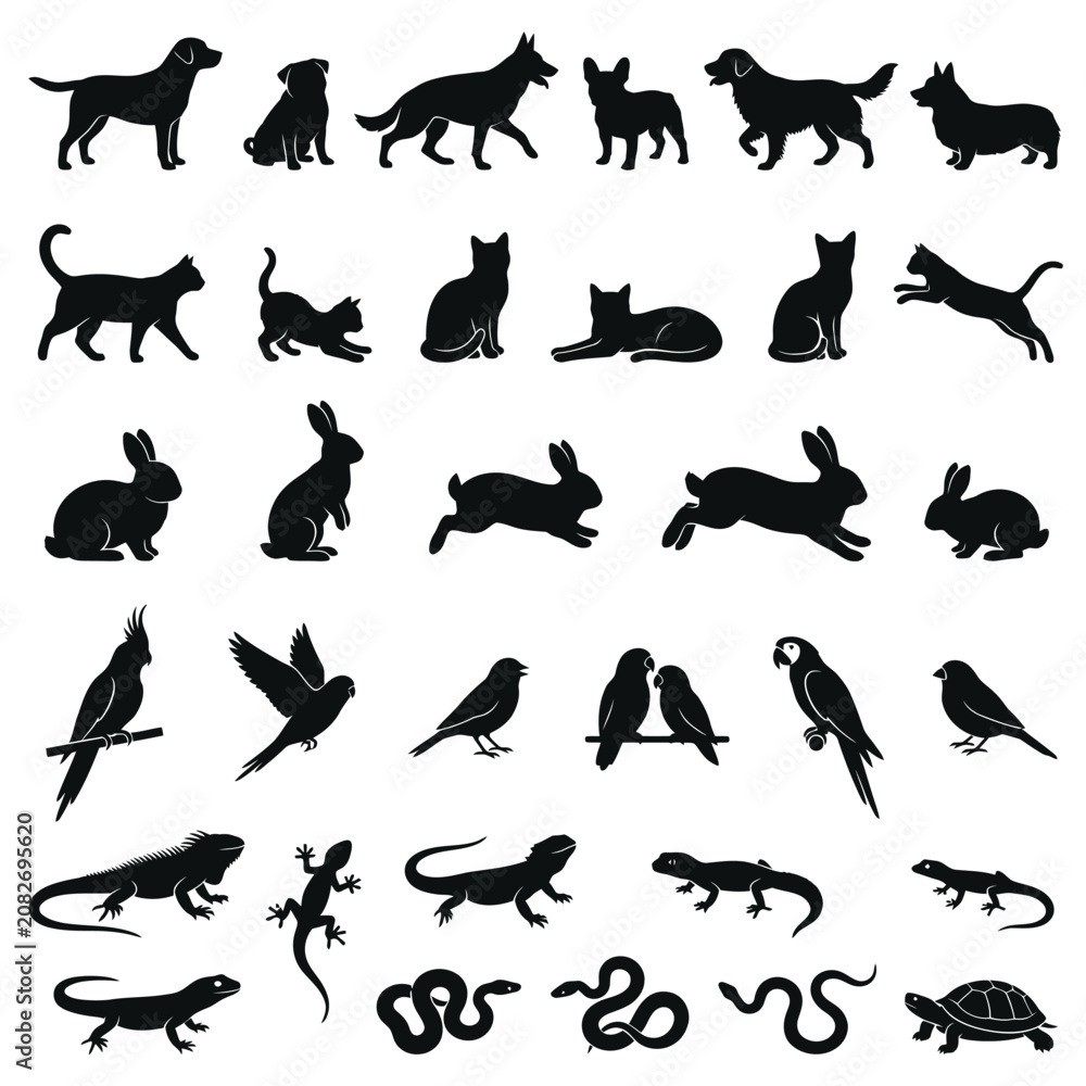 Fototapeta premium pet silhouettes collection of dogs cats rabbits birds and reptiles