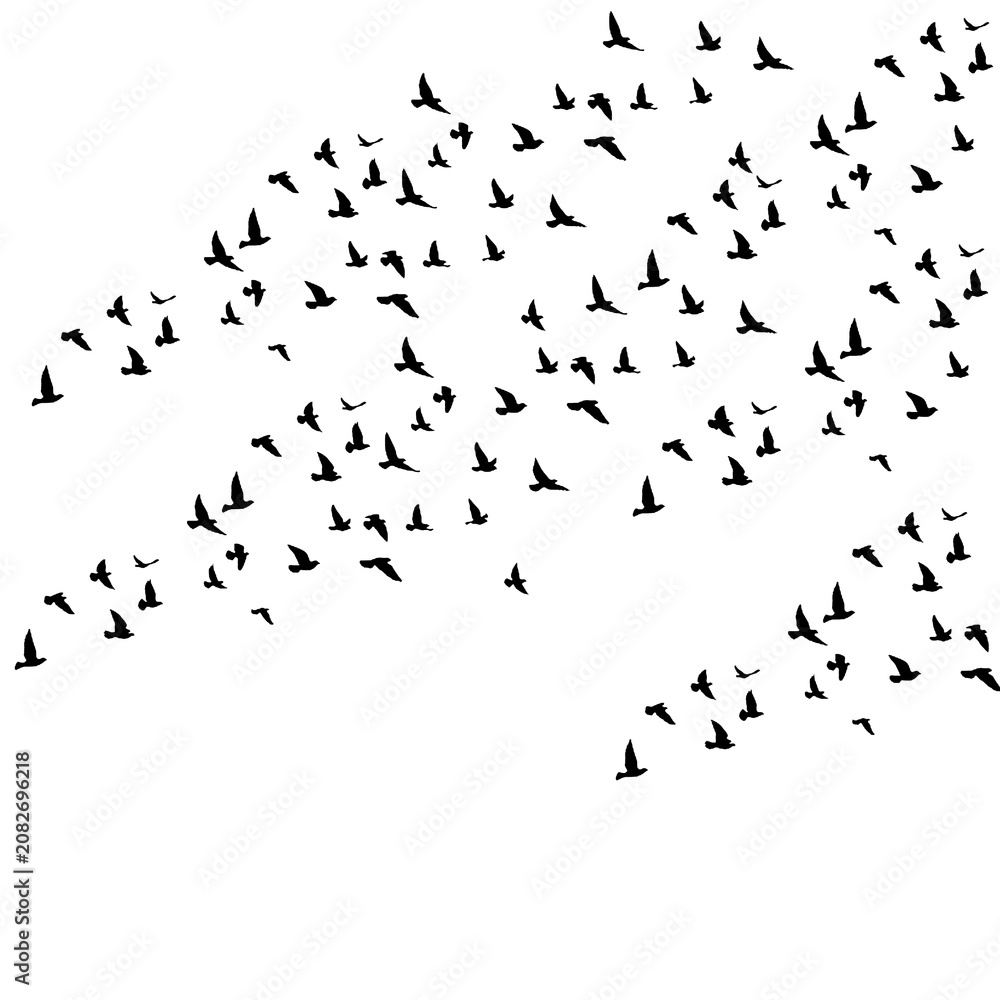 Obraz premium illustration of a flock of migrating birds