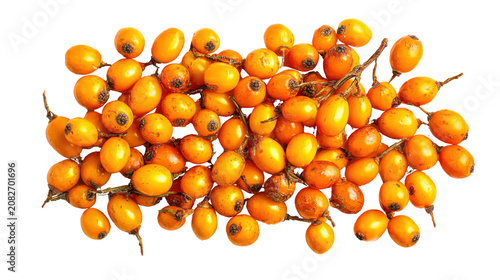 Bright orange sea buckthorn berries clustered together showing natural texture antioxidant rich medicinal superfood harvest isolated healthy botanical ingredient on White background