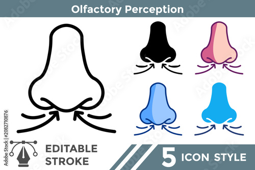 Obraz na plátně Olfactory Perception