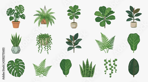 Corporate Collection of 15 Stylish Indoor Plants in Potted and Hanging Designs with Vibrant Green Leaves and Textures