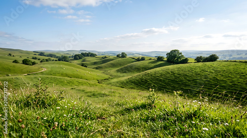 Sunlit rolling green landscape with wildflowers landscape wildflowers countryside environment sunlight blooming