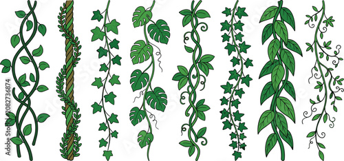 Jungle Vine and Hanging Ivy Vector Set with Tropical Monstera Creeping Plants Rainforest Lianas and Green Foliage Borders for Botanical Border Designs
