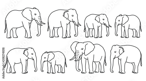 Photography A collection of eight stylized line art elephants of varying sizes and poses, presented against a white background