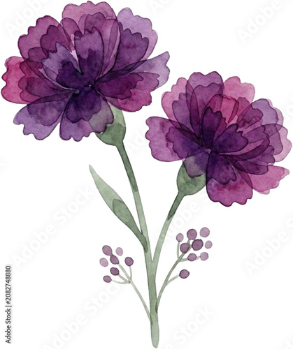 Purple and Wine Tone Watercolor Carnation Bouquet Illustration