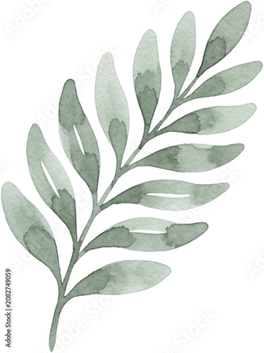 Natural Olive Green Watercolor Leaves Branch Illustration