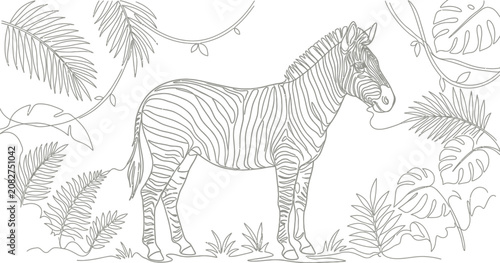 Photography horse and foal