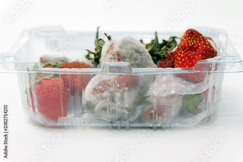 Fotografie an open, clear plastic clamshell container filled with decomposing strawberries