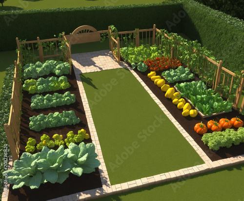 Lush green vegetable garden