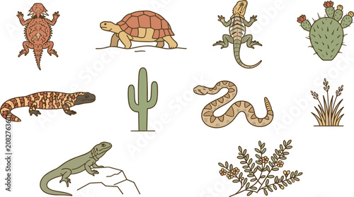 Tableau sur toile Desert Reptile Collection Featuring Tortoise, Lizard, Gila Monster, Rattlesnake,