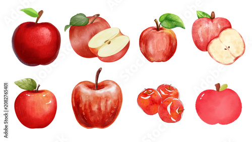 Hand-painted watercolor red apple set featuring whole fruits and slices isolated on white background