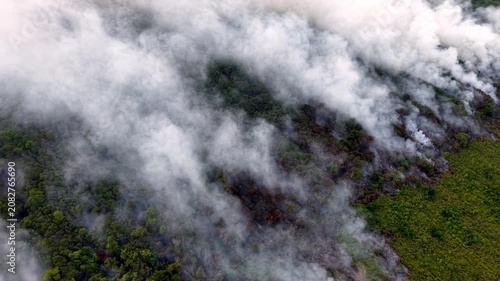 Thick smoke rises over burning forest terrain