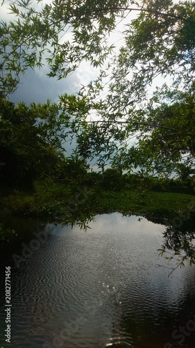 reflection in water