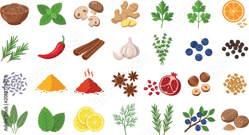 Canvas Print Culinary Herbs Spices and Fresh Baking Ingredients Vector Illustration Set Featu