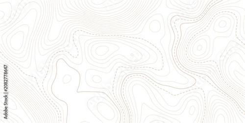 Stylized topographic contour map with space for text.Retro topographic map. Geographic contour map.Business concept. Vector illustration.