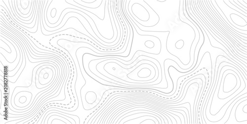 Stylized topographic contour map with space for text.Retro topographic map. Geographic contour map.Business concept. Vector illustration.