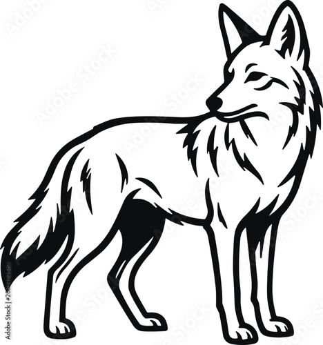 Standing wolf animal line art illustration.