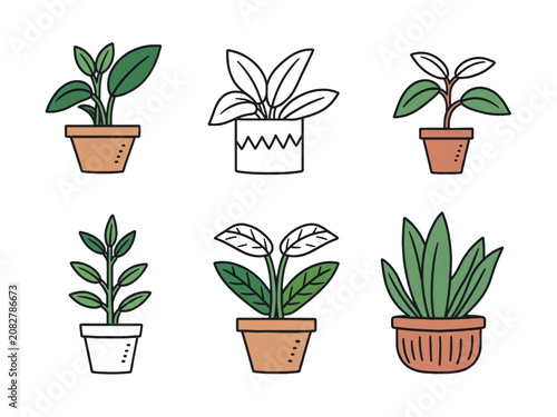 Various potted house plants growing on transparent background