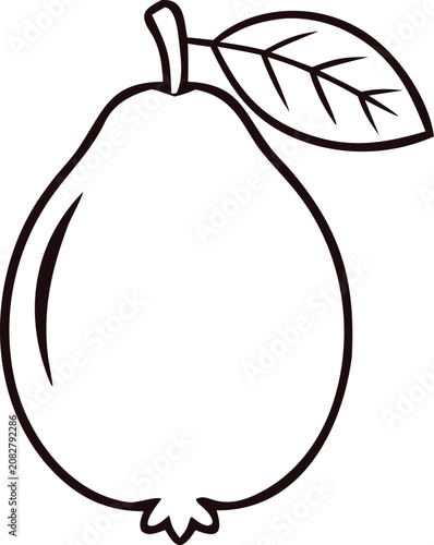 outline guava vector