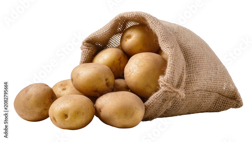 Canvastavla Raw potatoes spilling from burlap sack