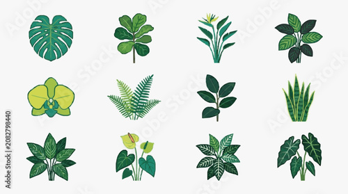 Foto Creative Collection of Twelve Vibrant Houseplants with Unique Leaf Shapes and Co