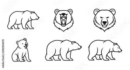 Bear Line Art Illustrations Collection Of Black And White Sketches