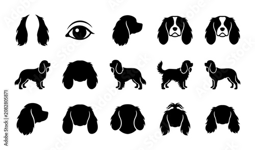 Foto Cavalier King Charles Spaniel Dog Icons, Vector Silhouettes, Pet Breed Graphics