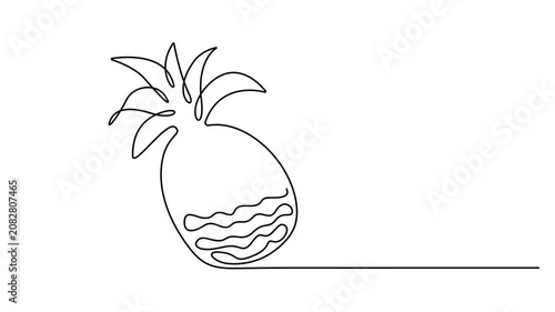 Animated self drawing of A single continuous line drawing of a tropical pineapple fruit showing simple artistic style. Full length one line animation. 4K video