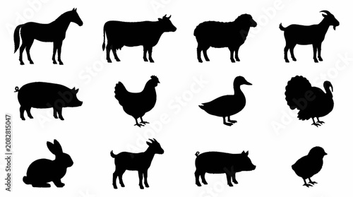 фотографія Black Silhouette Collection of Farm and Wild Animals.