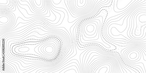 Topographic map lines background. Abstract vector illustration.  Abstract lines and wavy background. Grid geographic relief. 
