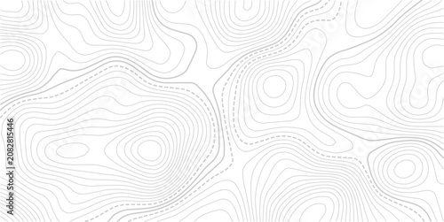 Topographic map lines background. Abstract vector illustration.  Abstract lines and wavy background. Grid geographic relief. 