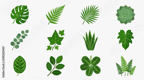 Dynamic Collection of 12 Vibrant Green Leaf and Plant Illustrations for Design and Nature Projects