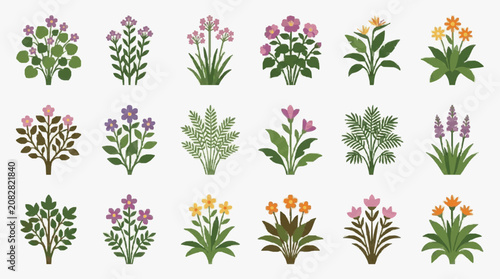 Dynamic Collection of 15 Vibrant and Colorful Floral Illustrations for Designers and Artists with high quality professional line art symbols for modern creative design and digital branding projects