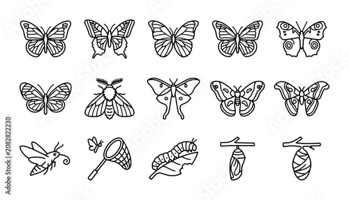 Billede på lærred Butterfly and Moth Icons Set, Insect Vector Graphics, Nature Elements Collection