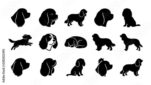 Fotografie Dog Silhouettes Collection, Cavalier King Charles Spaniel Poses, Vector Icons fo
