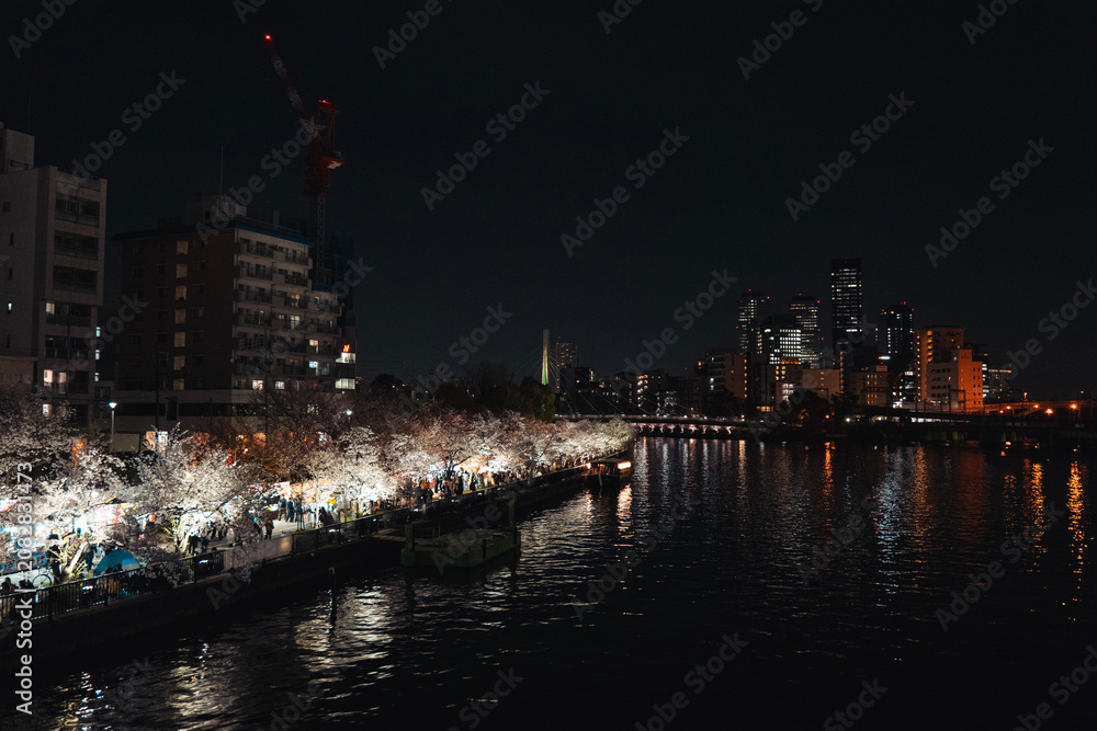 Fototapeta premium 大阪