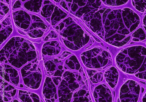A highly detailed microscopic view of purple neural networks forming complex biological interconnected structures