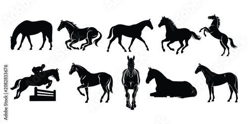 Thoroughbred Horse Silhouette Vector Set - Running, Jumping, Rearing, and Galloping Equine Poses